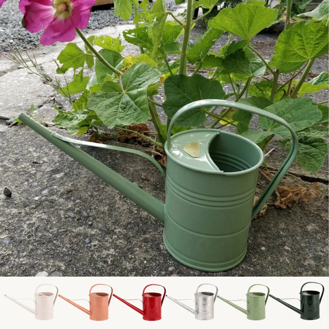 Arrosoir • 1,5 L Ma boutique