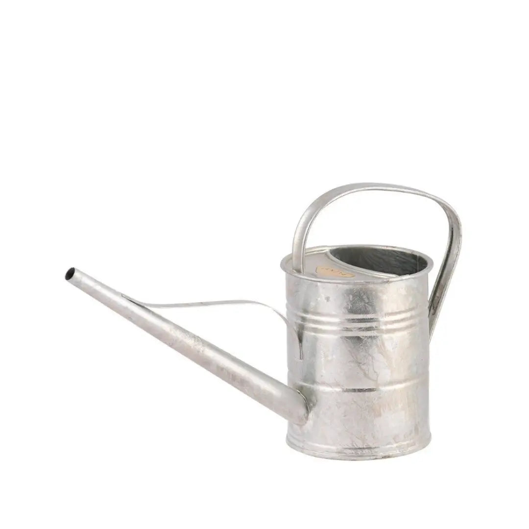 Arrosoir • 1,5 L Ma boutique