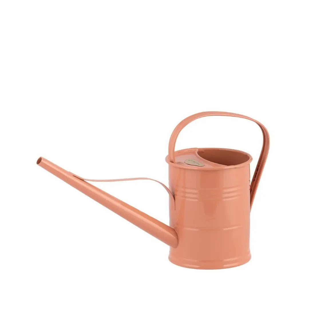 Arrosoir • 1,5 L Ma boutique