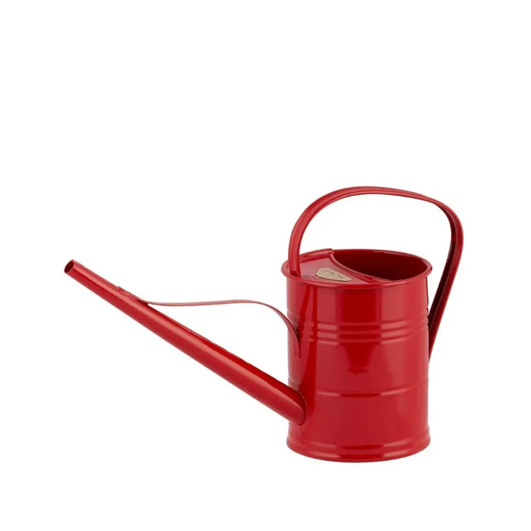 Arrosoir • 1,5 L Ma boutique