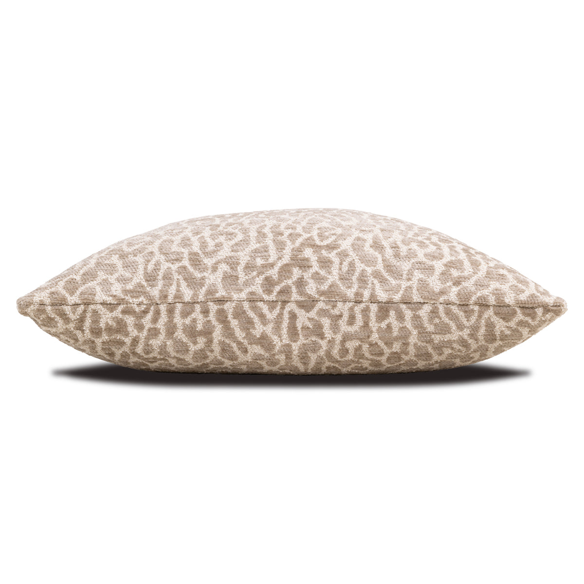 Coussin