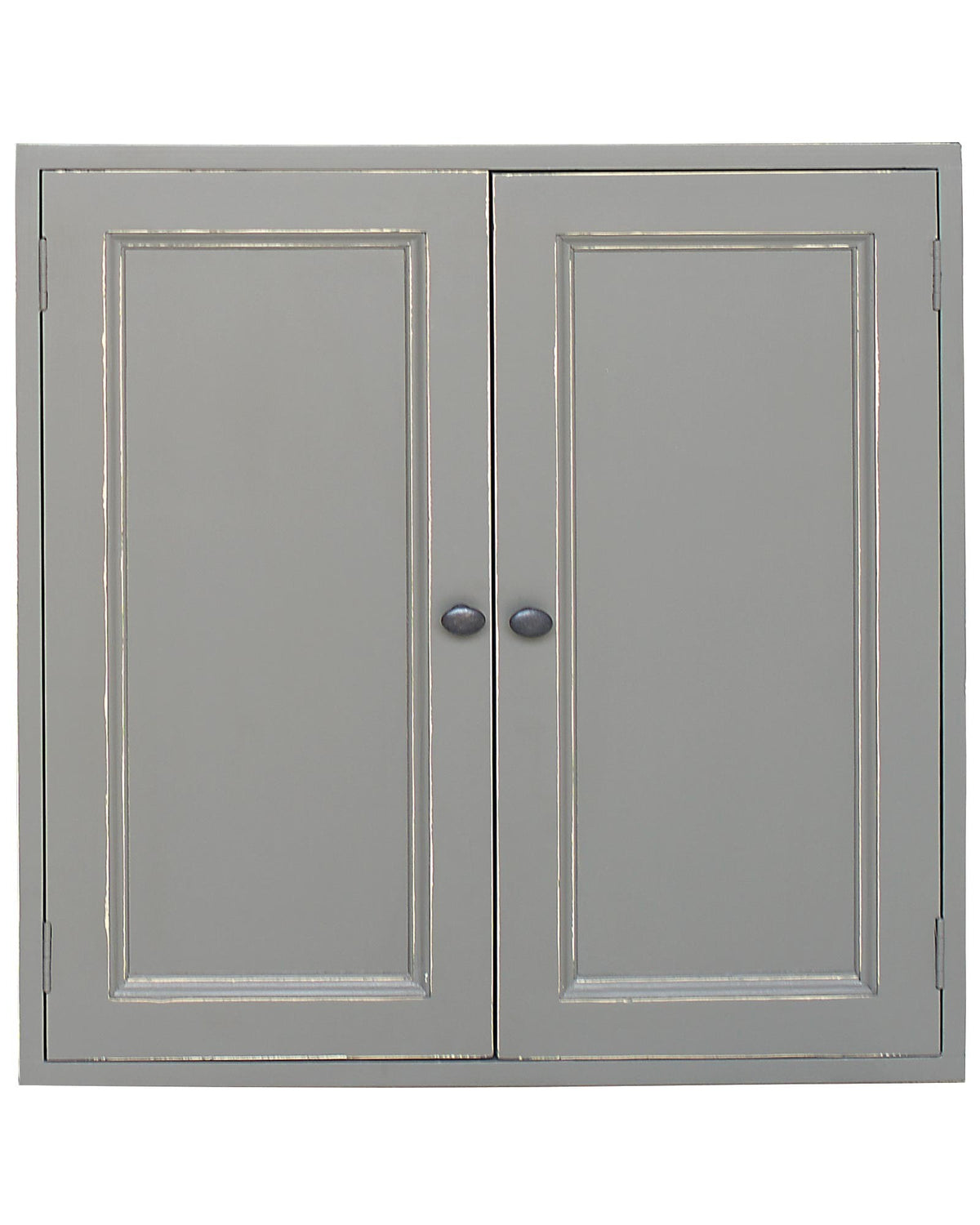 Module Arthus D789 en pin, caisson à deux portes, vue officielle 1.
