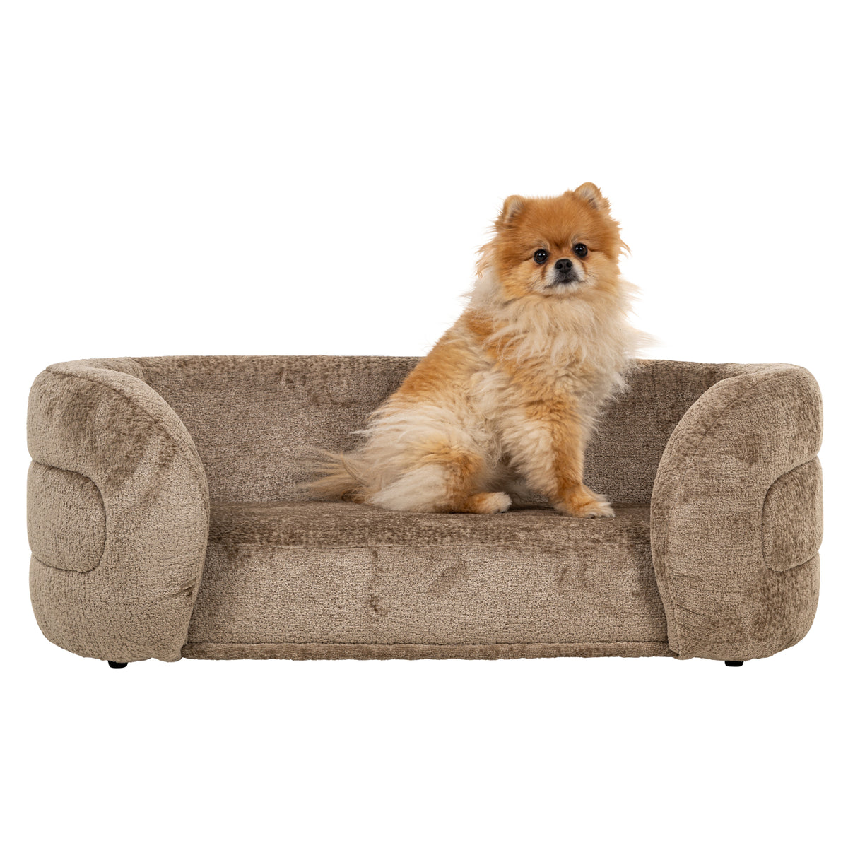 Lit pour animaux