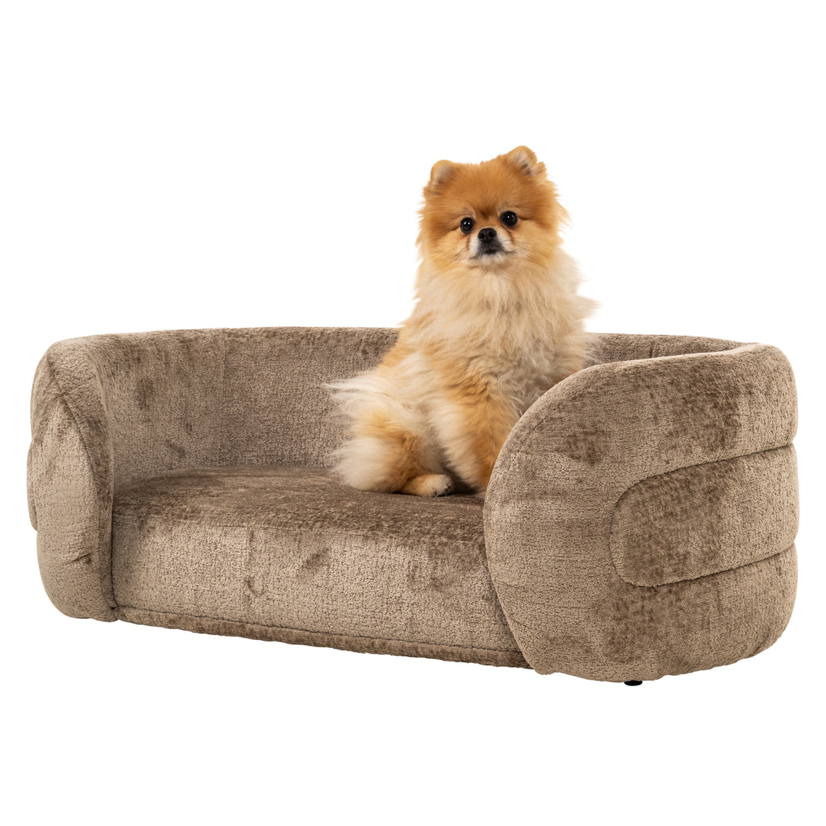Lit pour animaux