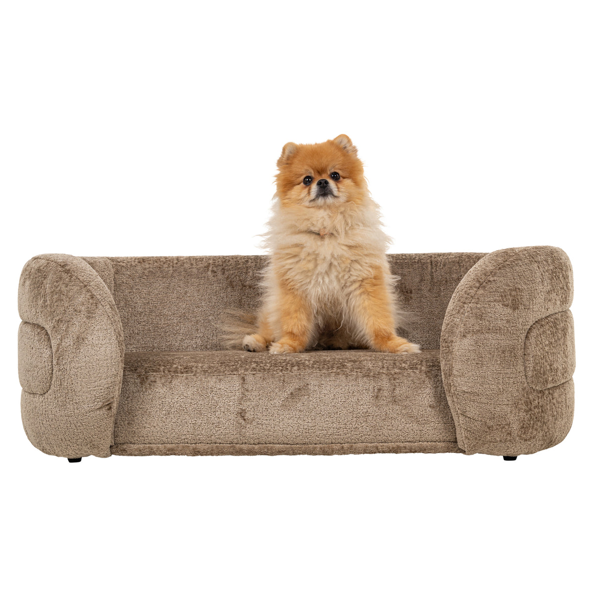 Lit pour animaux