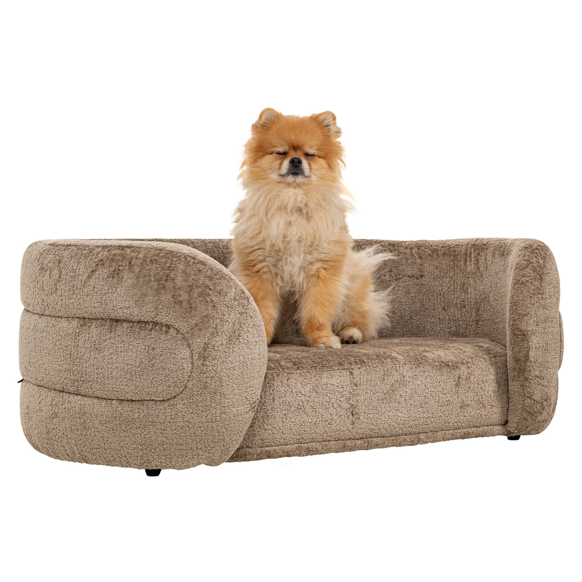 Lit pour animaux
